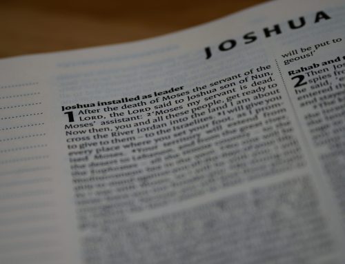 Joshua – Part 6: God Hits the Pause Button